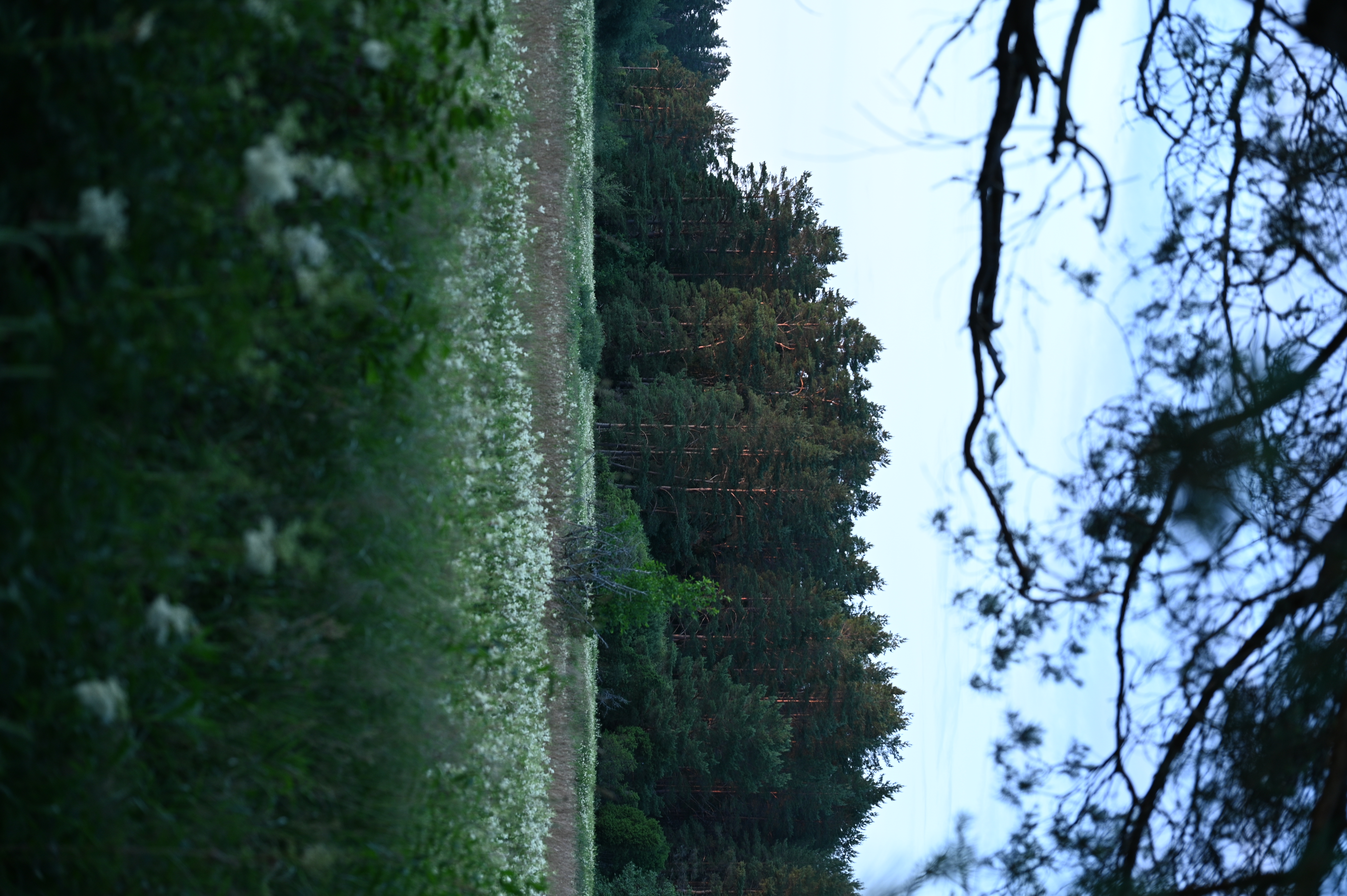 2025/07/09-14 - trip/DSC_0090.JPG